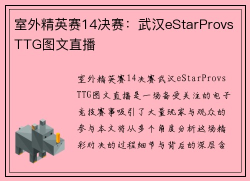 室外精英赛14决赛：武汉eStarProvsTTG图文直播